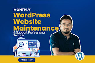 do monthly wordpress website maintenance and support professional service