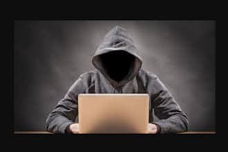conduct deep online investigations for any person or business