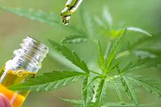 do promotion for your cbd, hemp, marijuana, cannabis, and vape products
