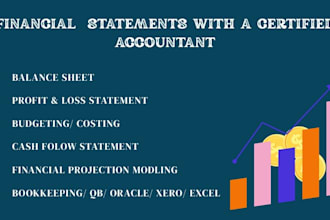 prepare financial plan, balance sheet and profit and loss statement