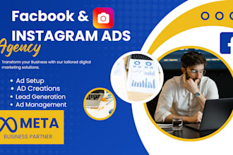 set up facebook and instagram ads campaign for your business