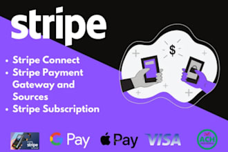 do stripe api integration in your website stripe expert
