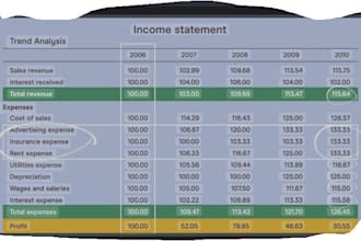 prepare balance sheet, profit and loss income statements
