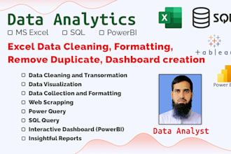 excel data cleaning, excel dashboard and powerbi dashboard