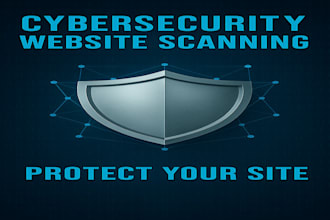 perform a professional website security scan in 24 hours