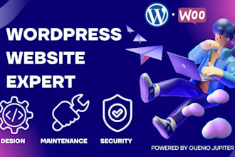 create, secure, maintain and optimize your wordpress website