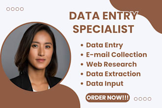 do email collection, data input, data extraction, data entry and web research