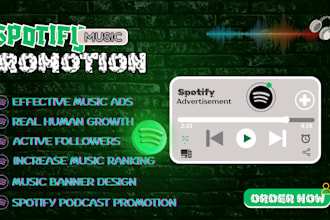 promote spotify music with spotify ads and social media ads campaign