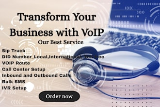 set up voip, ivr, did number, p1 auto dialer and call cente