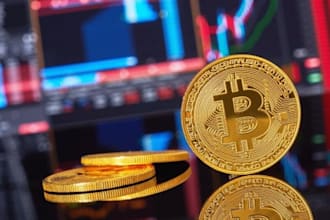 hit 500m investors memecoin, token, nft, x, telegram promotion get crypto users
