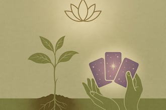 offer energy healing and oracle card reading