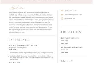 design a standout professional resume or custom portfolio