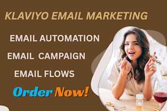 expert klaviyo email marketing automated campaigns and custom flows