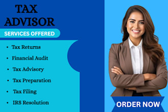 provide expert CPA, tax advisory, and legal support services