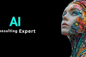 provide vetted pro high level ai strategy consultation