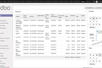develop custom software, web app, desktop app, ai saas, erp, CRM, hrm, pos odoo