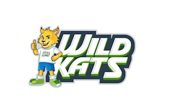 create unique wild cats logo design