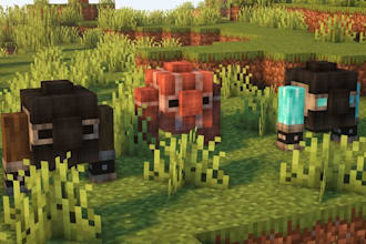 create you a custom ordered minecraft mod