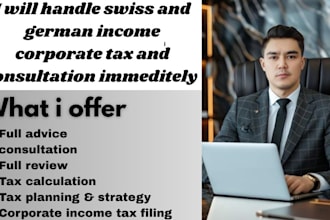 handle swiss and german income corporate tax and consultation immeditely