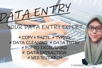 do data entry project for your company