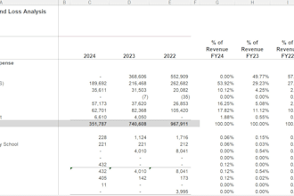 do financial due diligence or investor ready financial models