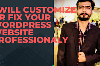 build, customize, or repair your wordpress website expertly