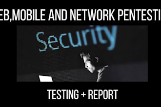 perform pentest your web application, mobile application and network