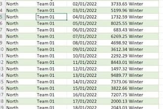 excel data cleaning, formatting, organizing and data entry