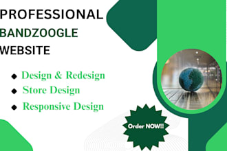 design a professional bandzoogle website with store and music pages