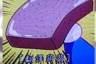 professionally translate english, chinese, and japanese