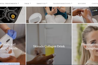 build your high level SEO website with html css hugo