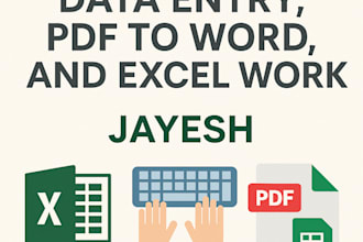 do accurate data entry, PDF to word, and excel work