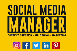 be your social media marketing manager and content creator