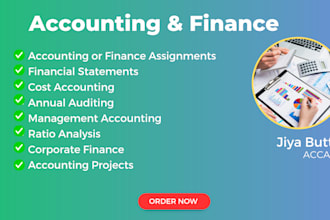 accounting and finance assignments, financial analysis, excel projects