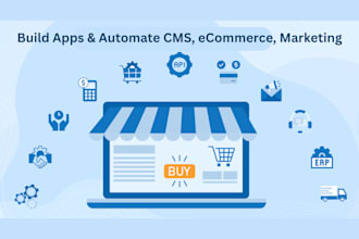 integrate erps, setup headless ecommerce and add marketing automations