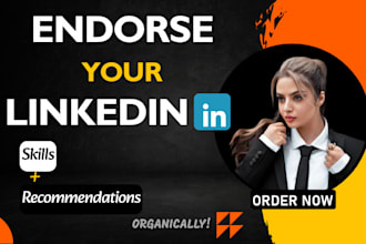 optimize your linkedin profile for success
