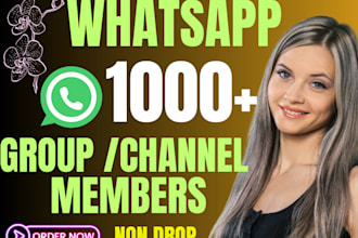 boost whatsapp followers, 100k member whatsapp channel, whatsapp group community