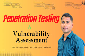 perform professional penetration testing on your website