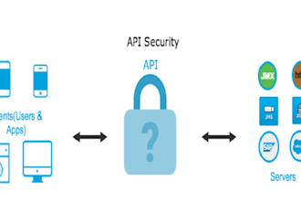 perform expert web app and API penetration testing