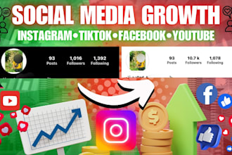 instantly increase your followers on social media platform