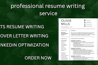 provide you a professional resume writing and cover letter