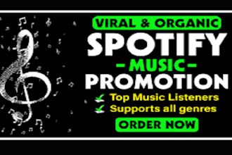 create and run advertising campaigns to promote your music on spotify organic