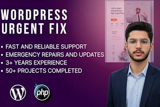 repair website issues, plugin errors, and layout problems quickly