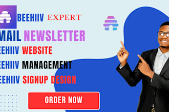 design and set up a high converting beehiiv newsletter