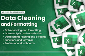 clean, format and organize your data in excel or google sheets