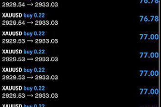 build profitable forex trading robot, trading bot, scalping bot,gold ea, hft bot
