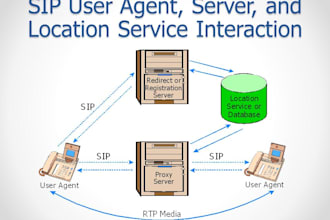 arrange sip user, sip routes and sip trunks for USA spoof api, did number, 3cx