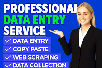 do professional data entry, web research, excel,  copy paste, data collection