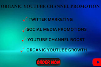 do youtube promotion channel promotion video marketing channel monetization