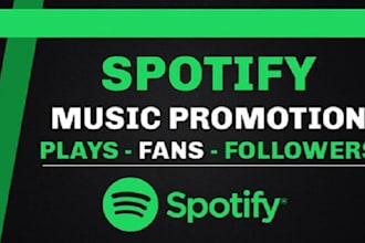 promote your music professionally to real and targeted audience